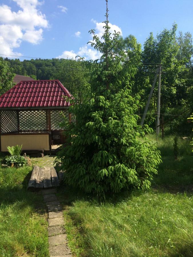 Гостьовий будинок У Пана Івана Яремче Екстер'єр фото